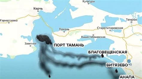 Как суровые зимние условия изменили жизнь в Черном море