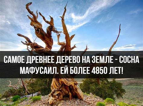 Необычные факты и истории: самые интересные открытия