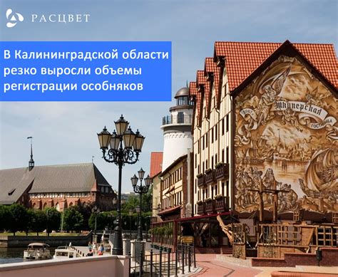 Почему в Калининградской области всё больше индивидуальных предпринимателей и закрываются компании