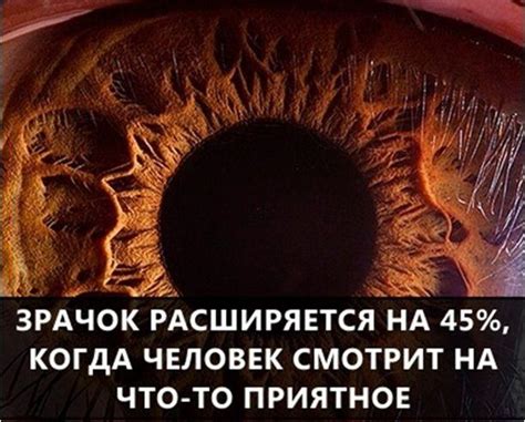 Самые интересные факты и открытия в мире вокруг нас